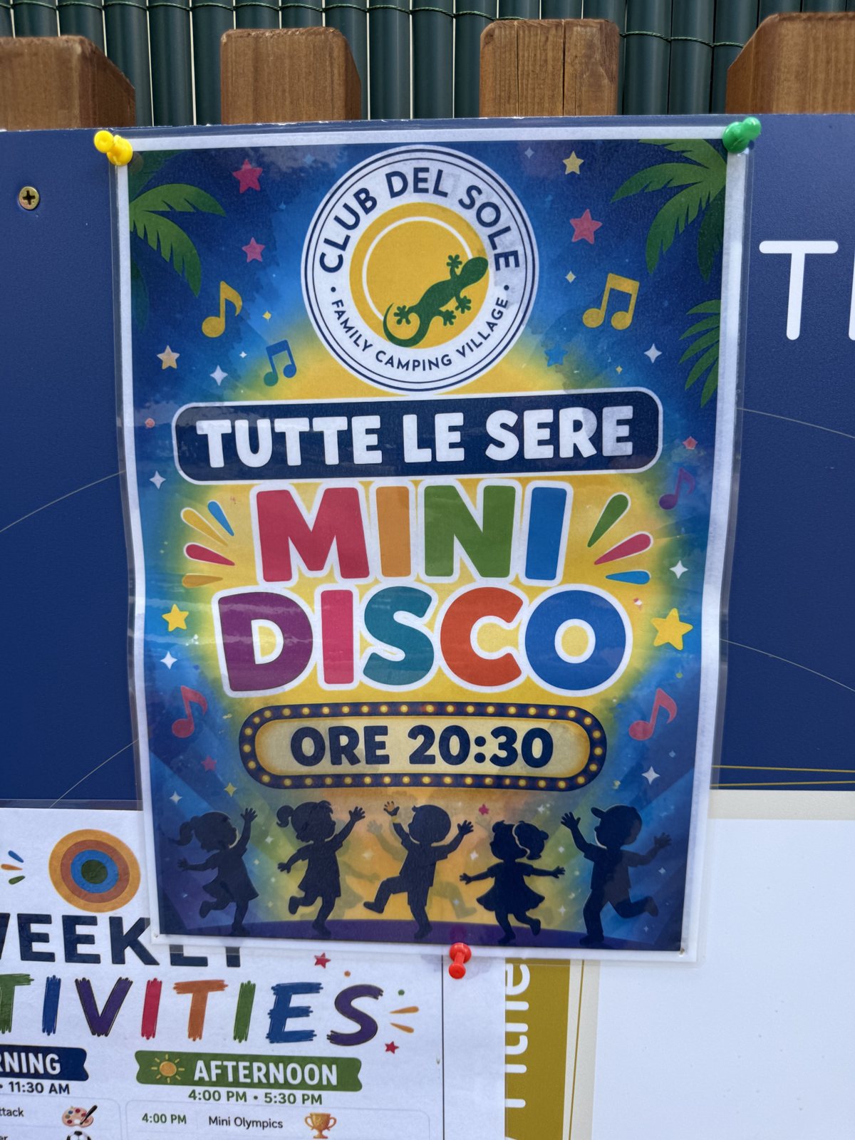 the mini disco poster: every evening at 20:30, the most important appointment of the day