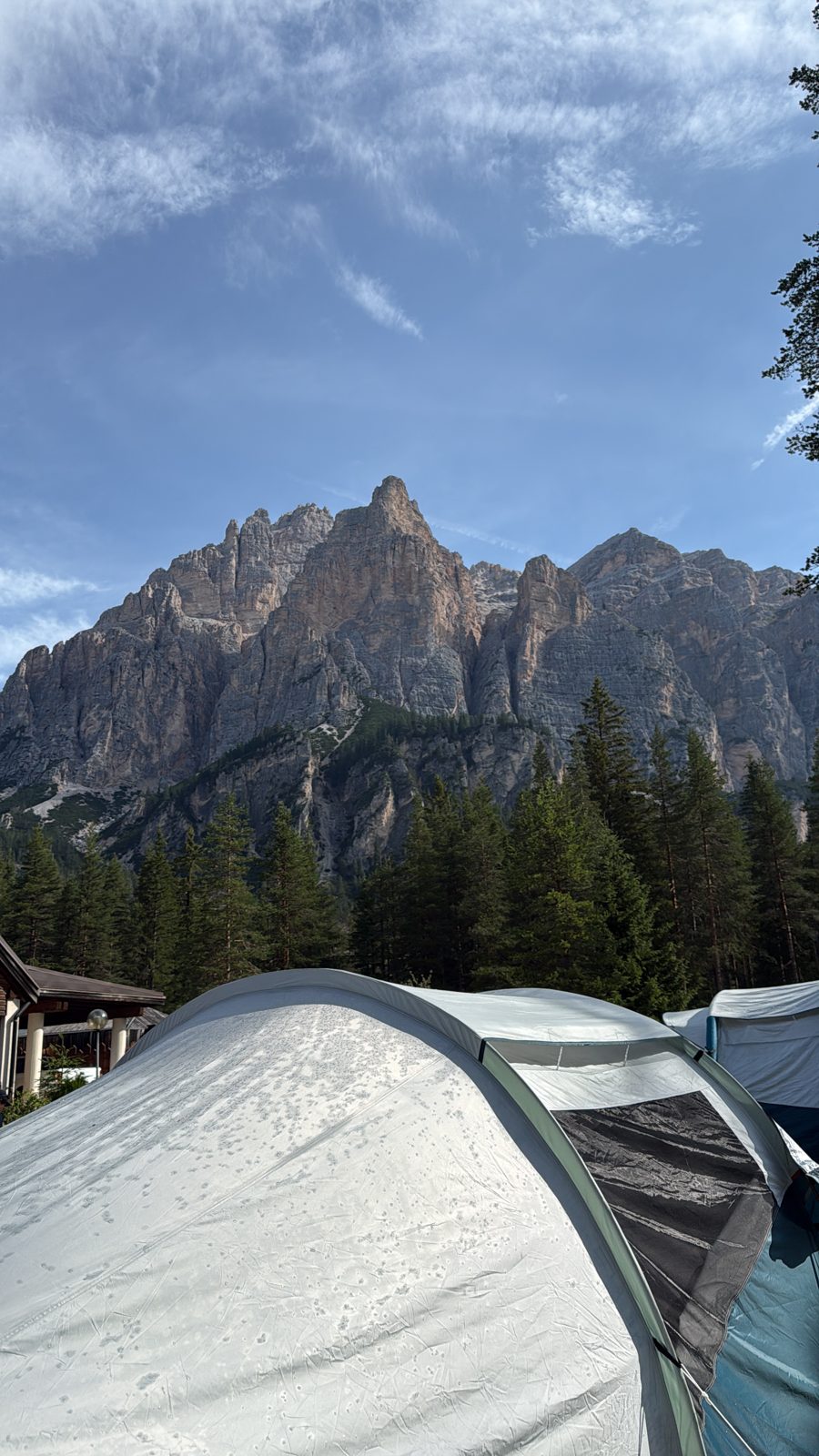 tent, pines and the mountains above the campsite