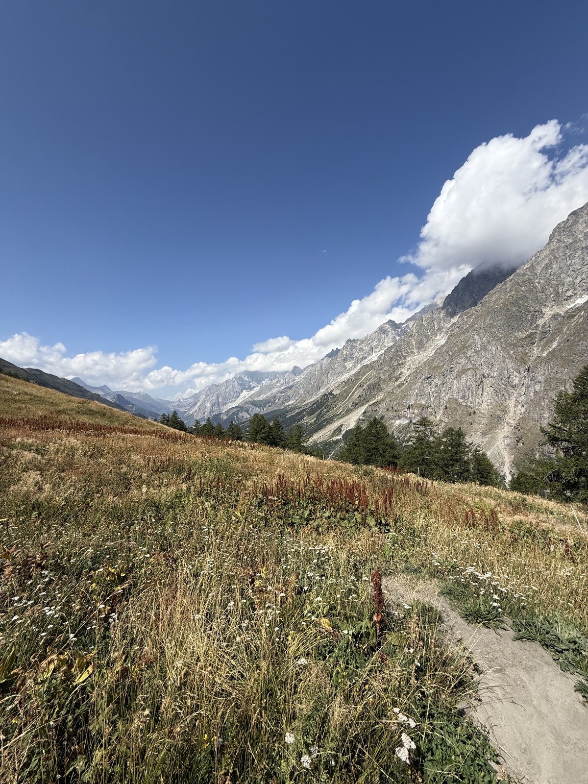 the meadows of Val Ferret