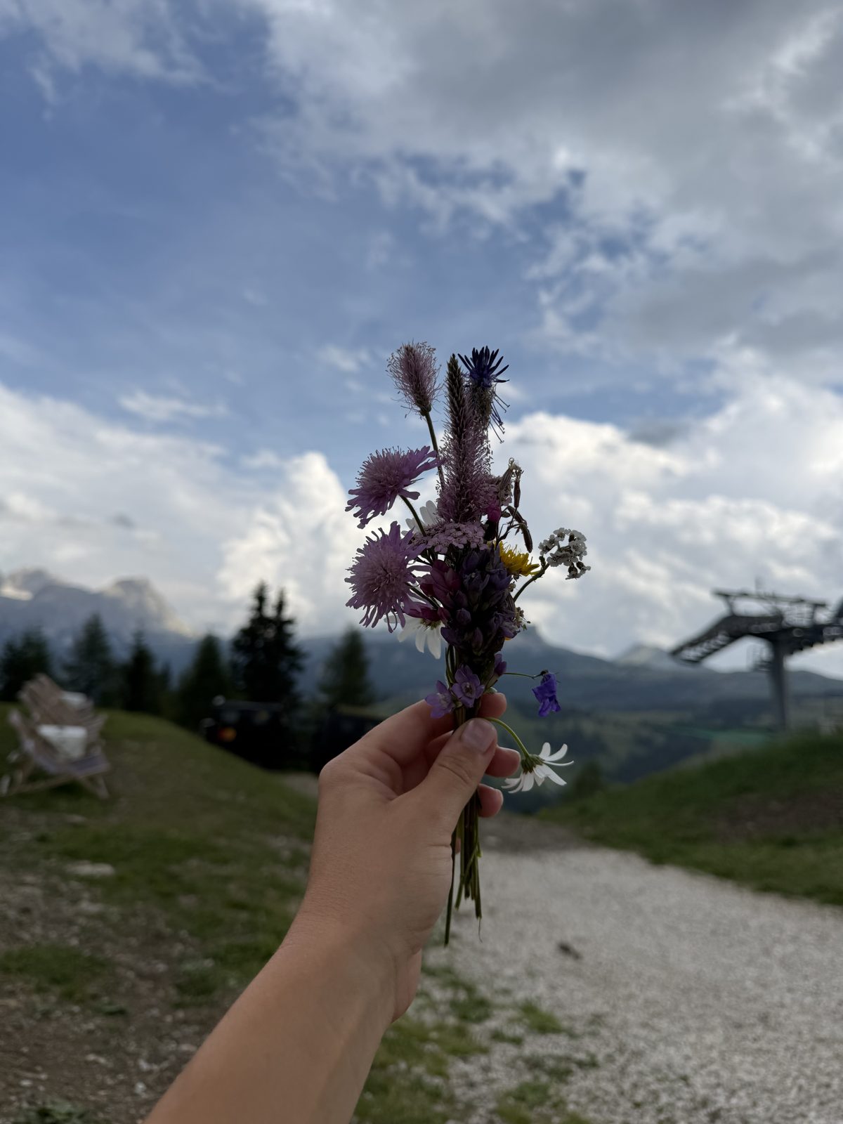 wildflowers picked on the way down