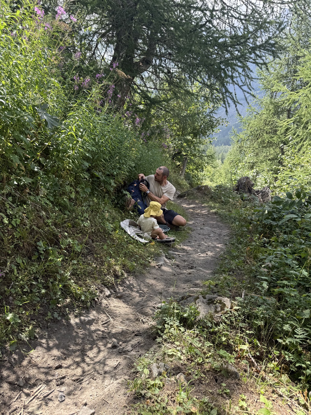 picnic on the forest path