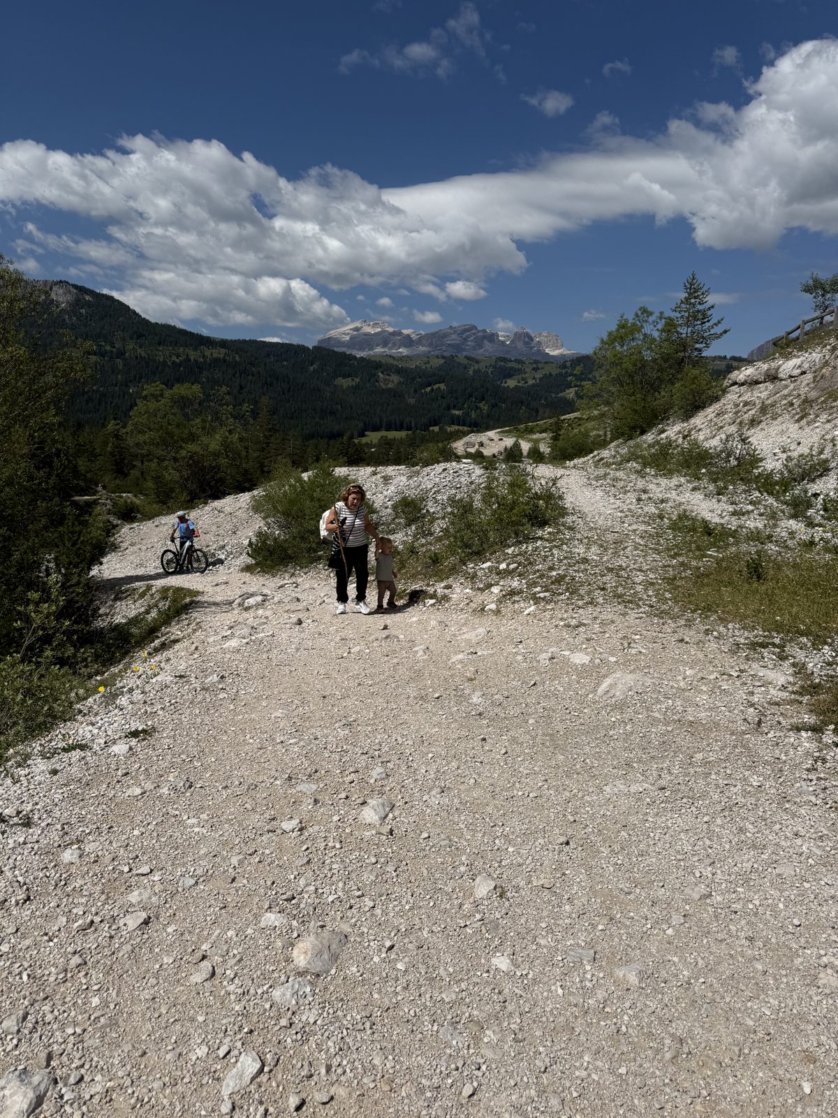 the trail and the view